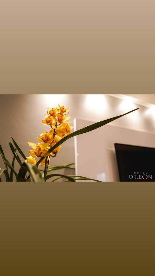 Hotel D'leon Gurupi